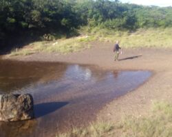 Laguna, El Portón, Roboré, Chiquitanía
PH de Ronny Zambrano Pocubé Laguna, El Portón, Roboré, Chiquitanía